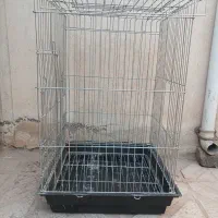 قفس