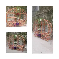 استندگل|گل و گیاه طبیعی|گرگان, |دیوار