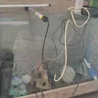 آکواریوم بزرگ باتمام. سایل