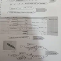 جزوه نموداری زیست شناسی  هر سه پایه|کتاب و مجله آموزشی|فردوس (خراسان), |دیوار
