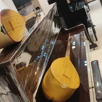 دو تار و تنبور|سازهای سنتی|ساری, |دیوار