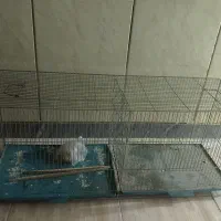 قفس جوجه پران