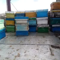 کندو خالی زنبور در حد نو