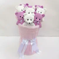 بوکت تدی|اسباب‌بازی بچه|شیروان (خراسان), |دیوار