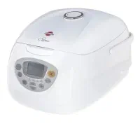 پلوپز دیجیتال