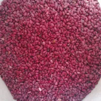 فروش لوبیا قرمز و چیتی.درجه یک|خوردنی و آشامیدنی|بزینه رود, |دیوار