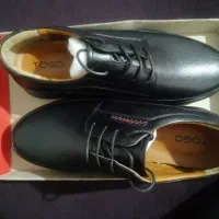 تعدادی کفش نو استفاده نشده جنس چرم سایز۴۲|کیف، کفش، کمربند|بندر ماهشهر, |دیوار