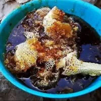 عسل کوهی استان فارس اصل برای خواص درمانی