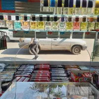 فروشنده ماهر