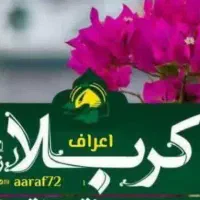 تورهای کربلا و مشهد ویژه بازنشستگان بانک رفاه|تور و چارتر|شهریار, شهریار|دیوار