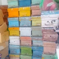 کندو تمیز رنگ‌دار