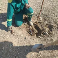 سیستم آبیاری قطره ای