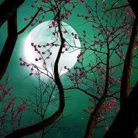 سرگرمی روی لینک بزنید بیتکون دریافت میکنی