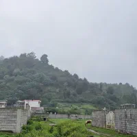 فروش زمین/ ویودار/ ۲۸۰متری/با بهترین شرایط پرداخت