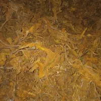 زغال( برگ و چوب تن با کو)|عمدهفروشی|اصفهان, رکن الدوله غربی|دیوار