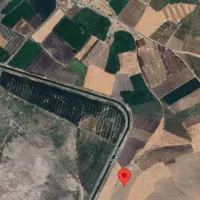 زمین دیم مناسب برای کاشت انگور دیم|فروش زمین و ملک کلنگی|محمدبار, |دیوار