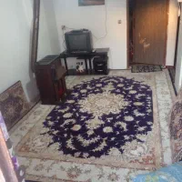 اجاره آپارتمان روزانه