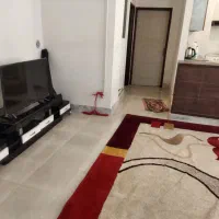 ماشین لباسشویی دوقلو فریدولین