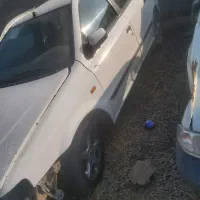 تصادفی سمند