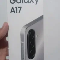 a17
