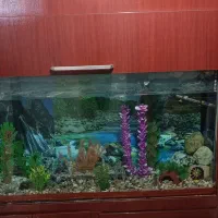 فروش|مبلمان خانگی و میز عسلی|کردکوی, |دیوار