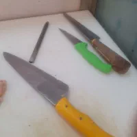 کارگر حرفه‌ای مرغ خرد کن