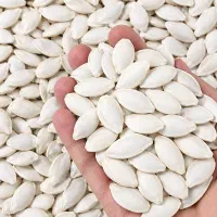 پخش عمده انواع تخمه ها و شورکاری به صورت دستمزدی