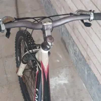 دوچرخه ۲۴ کنندل اصلی|دوچرخه، اسکیت، اسکوتر|قزوین, |دیوار