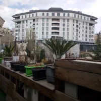 استخدام مشاور املاک خانم و آقا (مبتدی و حرفه‌ای)