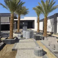 نخل در نهالستان علیزاده