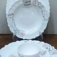آرکوپال نو|ظروف سرو و پذیرایی|کرج, حصارک پایین|دیوار