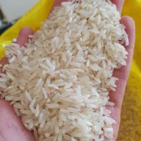 برنج چمپا