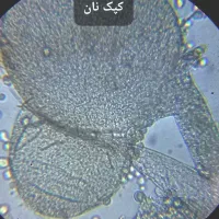 میکروسکوپ medic m 826|لوازم التحریر|کرج, جهان‌شهر|دیوار