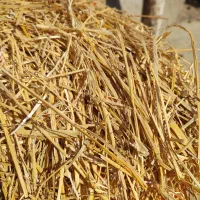 یونجه/علوفه|لوازم جانبی حیوانات|تهران, علم و صنعت|دیوار