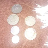 همه باهم هفصد تومن