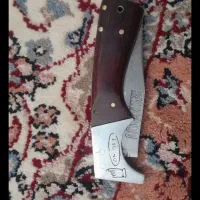 کبوتر اگهی رو بخون|پرنده|الشتر, |دیوار