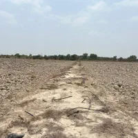 اجاره 2 هکتار زمین کشاورزی مرغوب همراه با آب|اجارهٔ دفتر صنعتی، کشاورزی، تجاری|بندرعباس, |دیوار