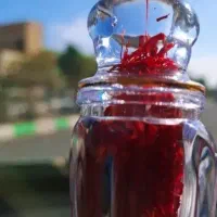 فروش زعفران