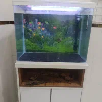 آکواریوم