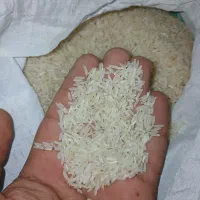 برنج فجر|خوردنی و آشامیدنی|شهرکرد, |دیوار