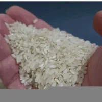 برنج اصل اصل لنجان