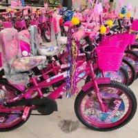 سایز20دخترانه دوچرخه