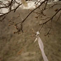 پکیج اقتصادی عکاسی یلدایی و پاییزی|خدمات پذیرایی، مراسم|قزوین, |دیوار