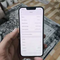 13pro 256 1sim
