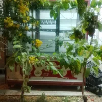 یخچال فروشگاهی