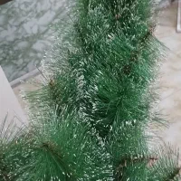 کاج کریسمس و گاری شب یلدا