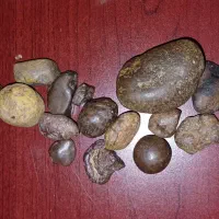 شهاب|کلکسیون اشیاء عتیقه|شیروان (خراسان), |دیوار