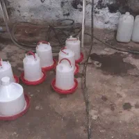 نیپل آب و دونخوری|لوازم جانبی حیوانات|قم, انسجام|دیوار