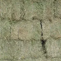 یونجه انباری مخصوص بره