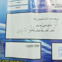 ۲۰۶ اس دی|خودرو سواری و وانت|اصفهان, باغ زرشک|دیوار